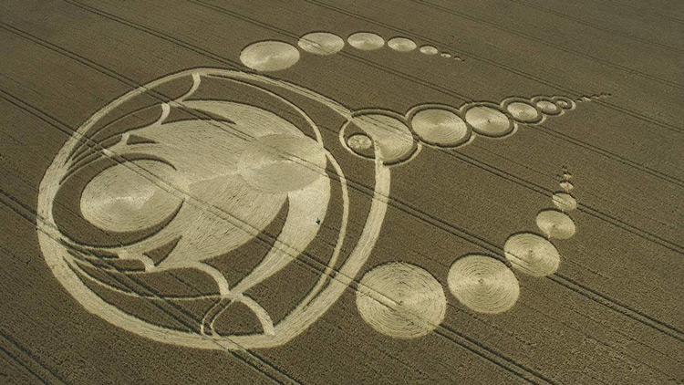 Mayores misterios sin resolver de la historia: Los símbolos dibujados en cosechas