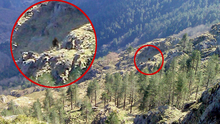 Mayores Misterios Sin Resolver De La Historia